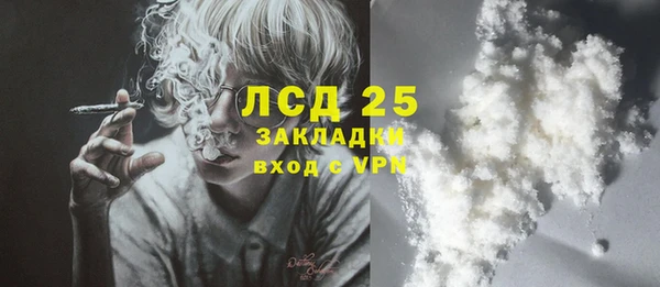 хмурый Няндома