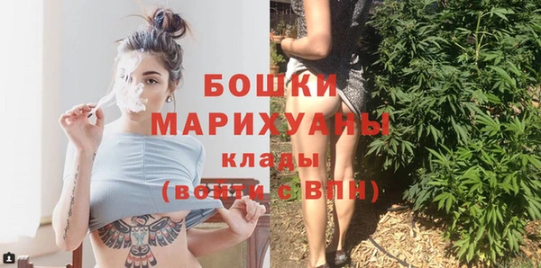 хмурый Няндома