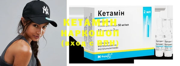 хмурый Няндома
