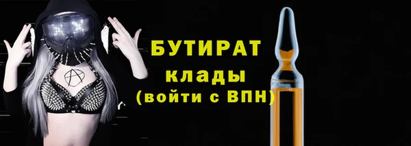 хмурый Няндома
