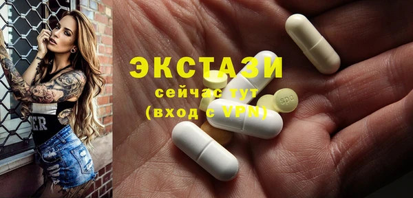хмурый Няндома