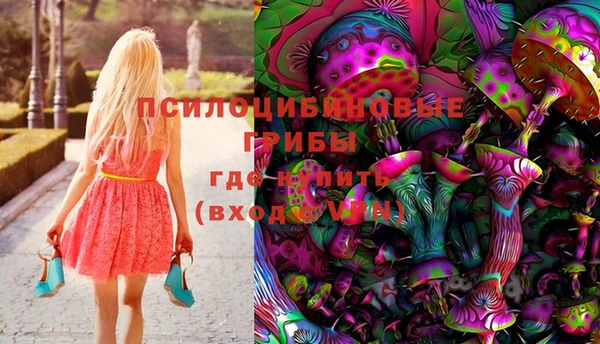 хмурый Няндома