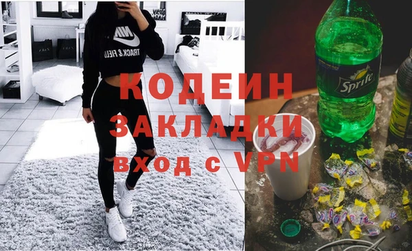 хмурый Няндома