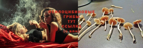 первитин Нягань