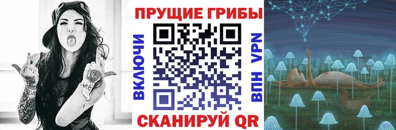 наркошоп  shop Telegram  Псилоцибиновые грибы Psilocybine cubensis  Райчихинск  МЕГА ТОР 